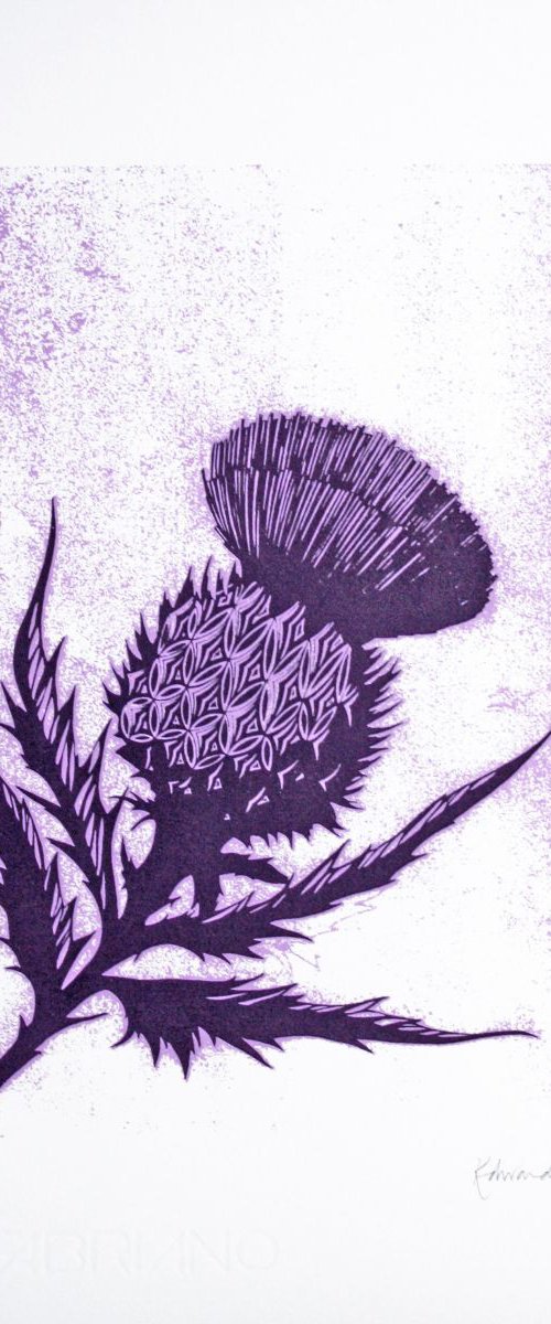 Thistle by Kath Edwards