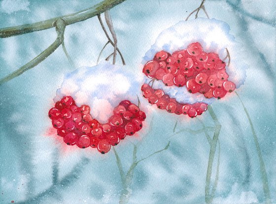 Winter Berries