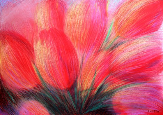 Tulips Red 6