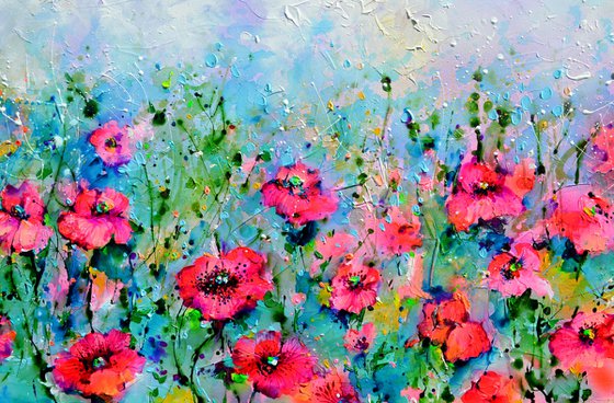 Wild Red Poppy, Poppies Field
