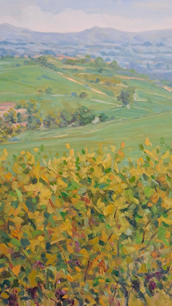 Langhe landscape