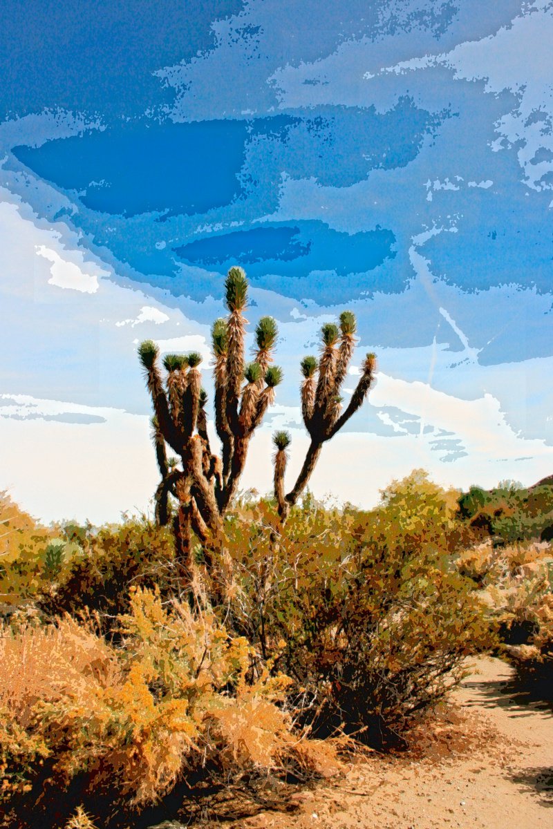Abstract Photograph , Pieces Of The Sky Joshua Tree By William Dey, 15 X 22, Artwork For Sale On Artfinder