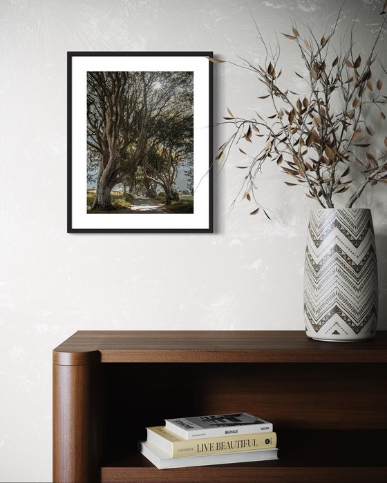 THE FANTASTIC DARK HEDGES I