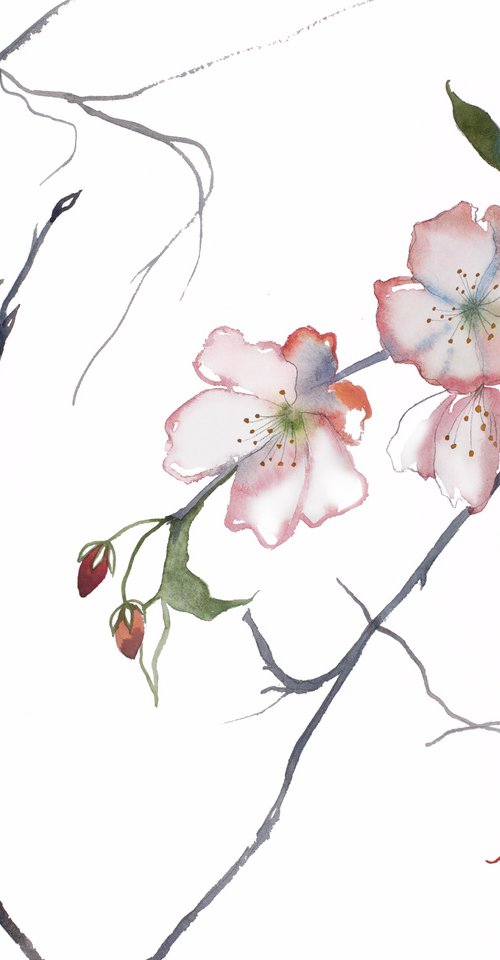 Cherry Blossom No. 23 by Elizabeth Becker
