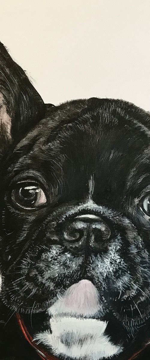 French Bulldog by Amanda Lakin Art