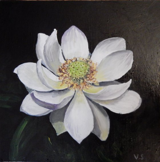 Magnolia flower. (2) framed painting.