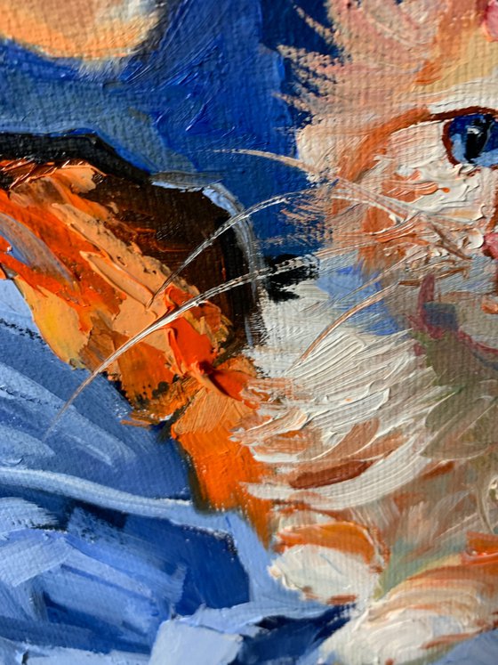 Girl in blue dress, orange cat