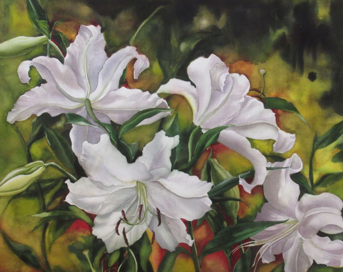 casablanca lilies in Spring by Alfred Ng