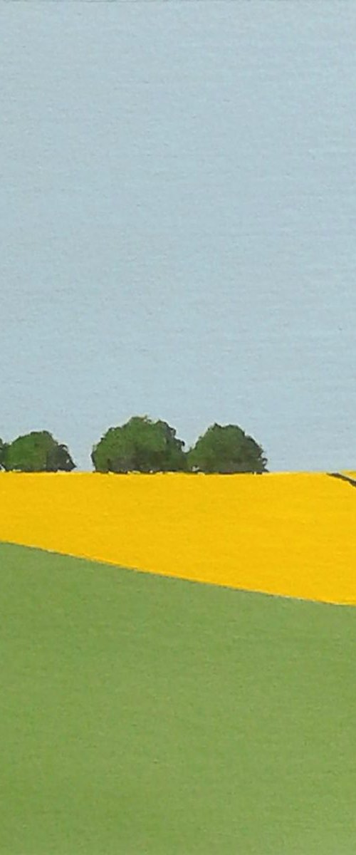 Rapeseed Fields, Hampshire III by Jan Rippingham