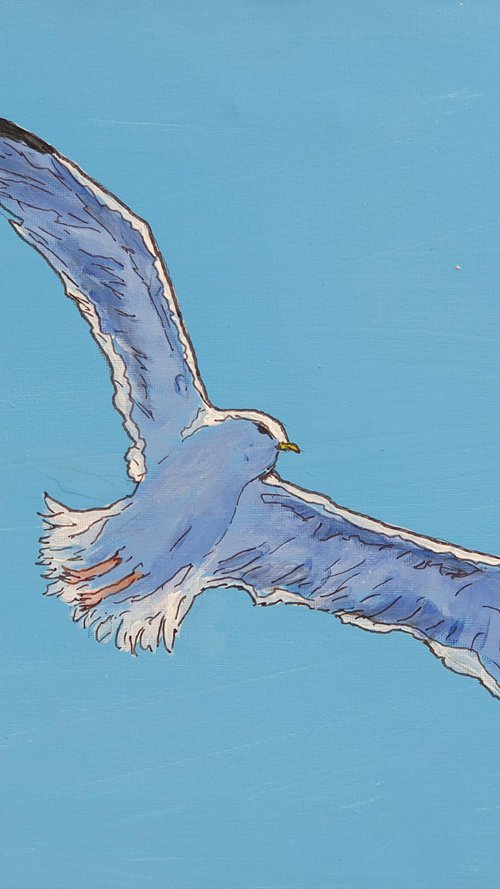 Seagull #4 by Colin Ross Jack