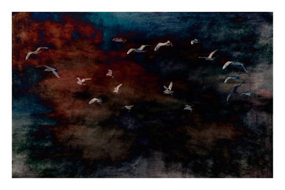 Flight, No.1 - 24 x 16" -  After Series