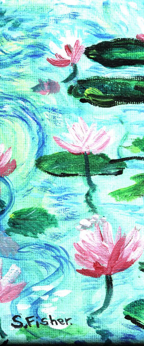 pink waterlilies all afloat by Sandra Fisher