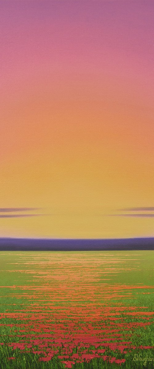 Colorful Flower Field by Suzanne Vaughan