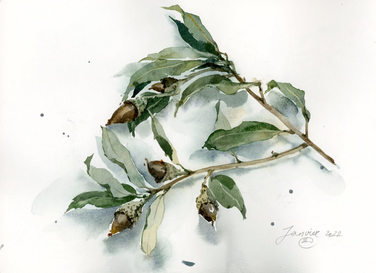 Wild plants. Watercolor sketch #3. by Tatyana Tokareva