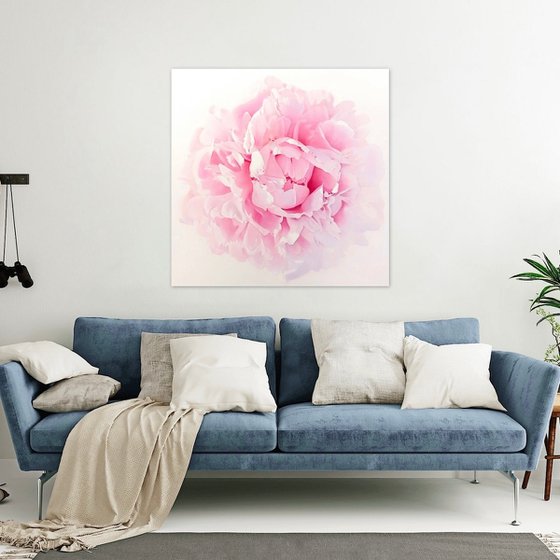 Ethereal Peony
