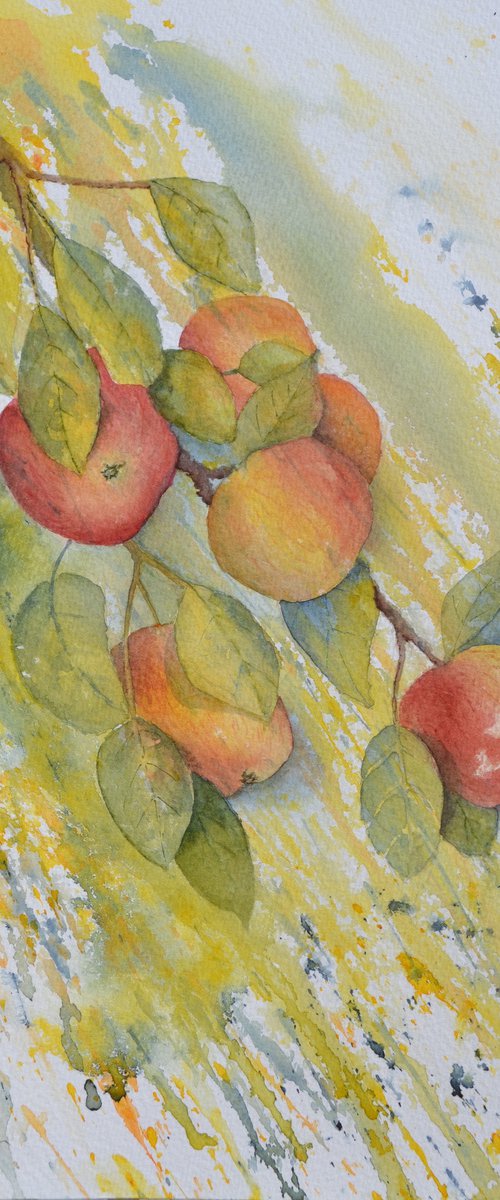 Autumn Glory - Original Watercolour by JANE  DENTON