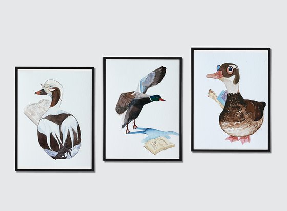 Ducks and books, part 3. Professor of human science