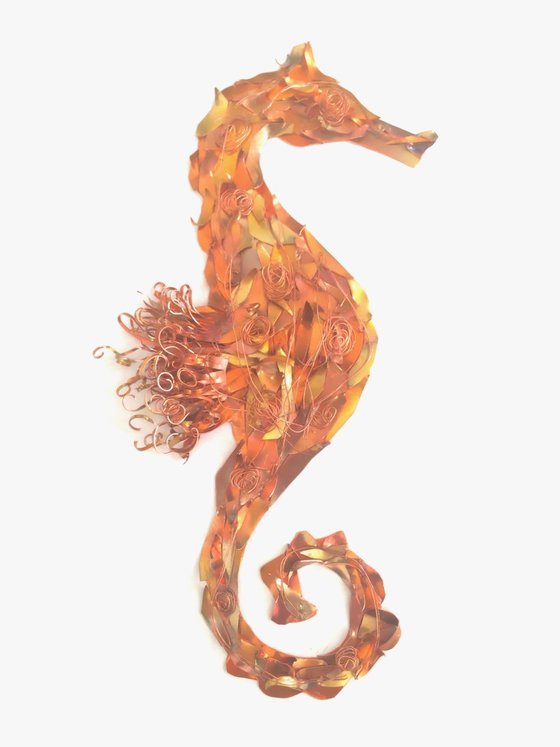 Shimmering Seahorse