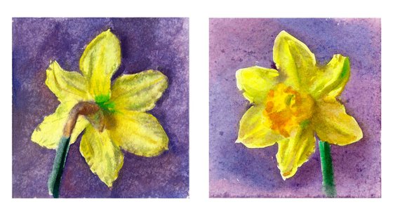 Daffodil Flower — Watercolour Diptych