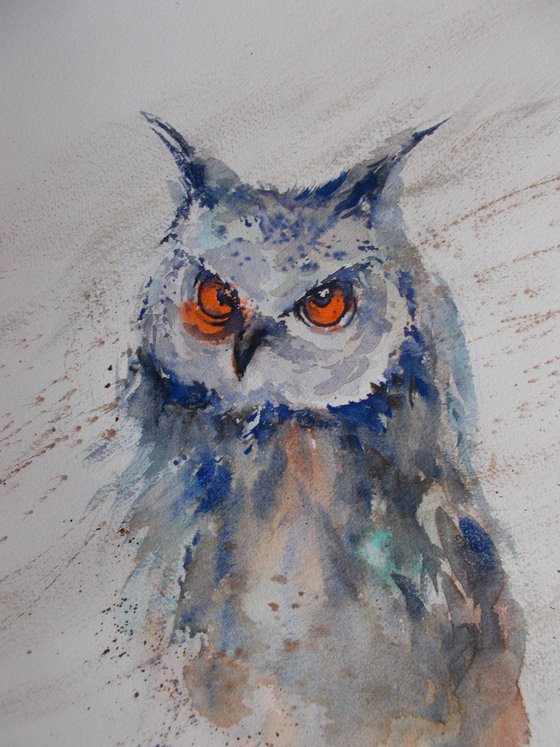 owl