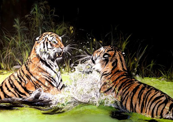 Tiger Fight