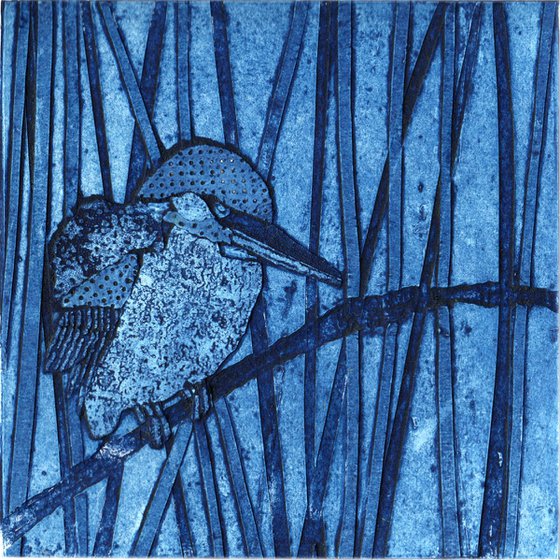 Kingfisher in the Reeds