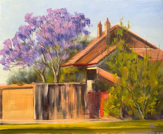 House with jacaranda