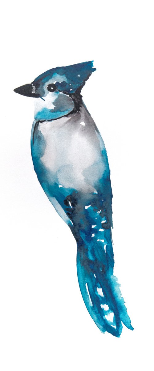Bird by Nadia Moniatis