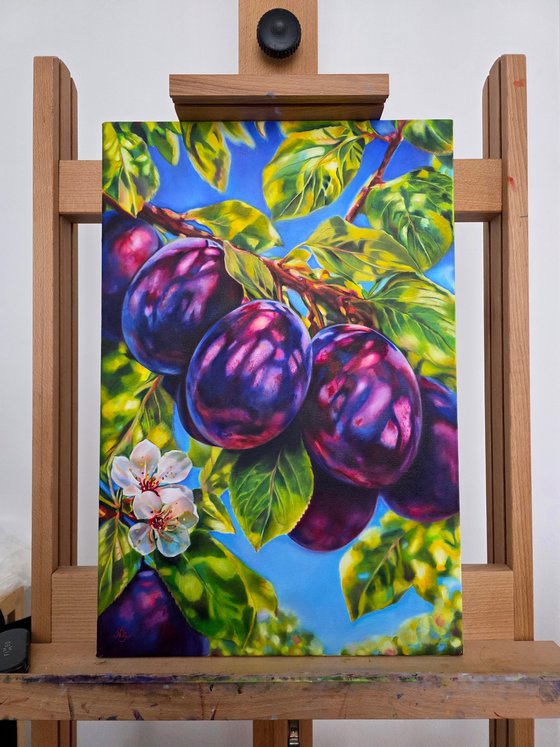Plum in the sunlight