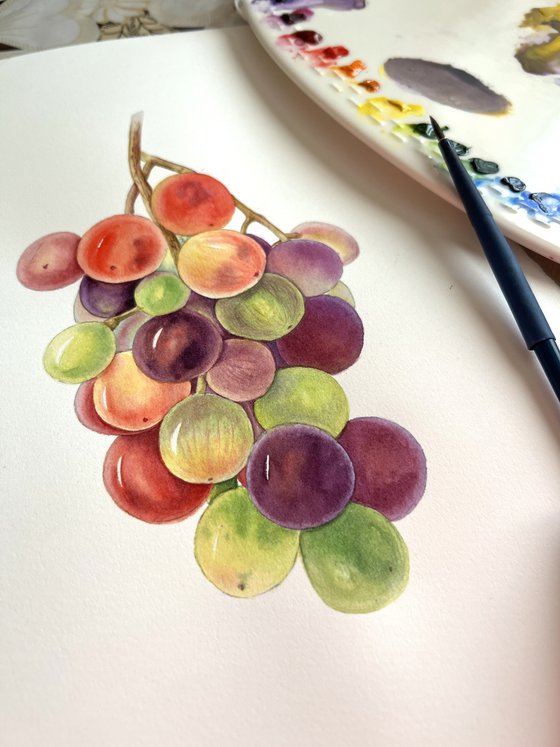 A bunch of grapes. Original watercolour arwork.