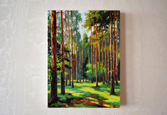 A sunny day in the pine forest
