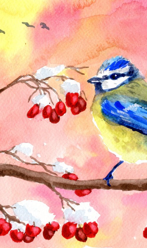 Blue Tit and Winter Berries by Lisa Mann