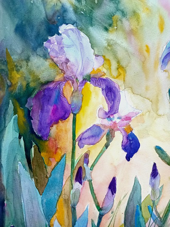 Charming irises