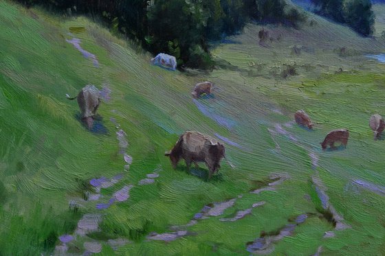 Pasture