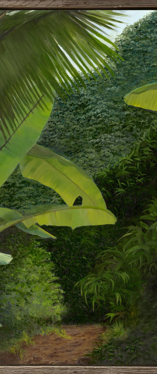 Walk into the Rainforest by Robert Kerr