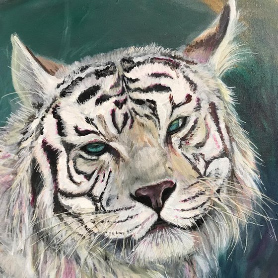 White Tiger in the Pink