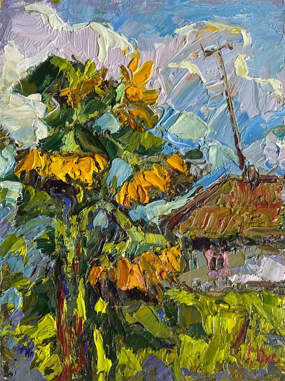 Sunflowers near the house