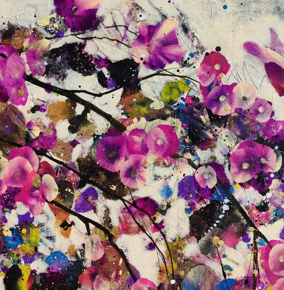 Beautiful Disorder