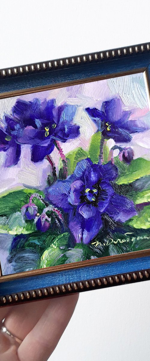 African violet flower by Nataly Derevyanko