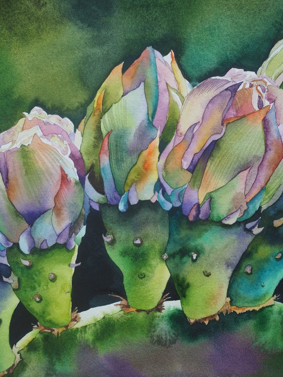 Opuntia blossom - original sunny watercolor