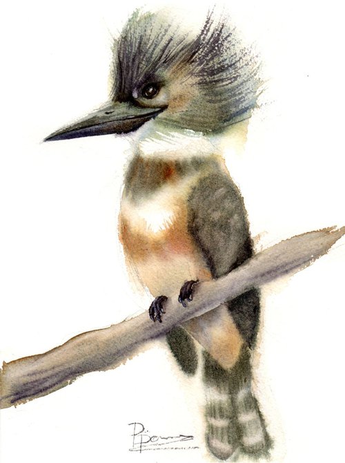 Kingfisher bird Original Watercolor Painting by Olga Shefranov (Tchefranov)