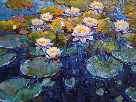 " Water lilies"