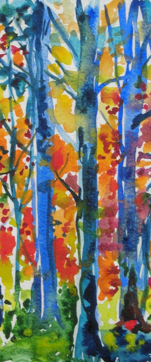 Autumn woods by Maja Grecic