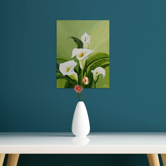 Calla Lilies