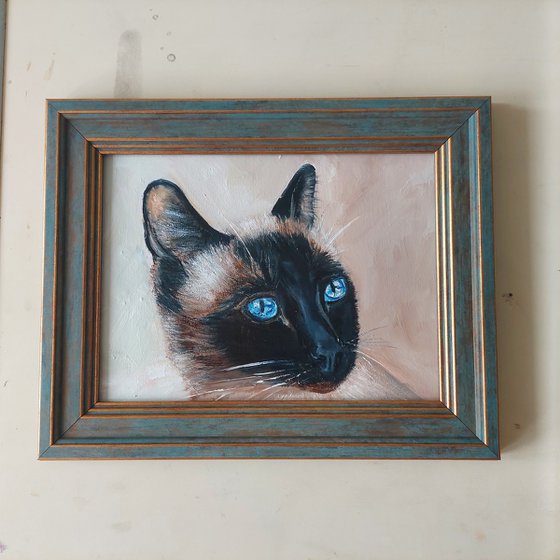 Siamese cat