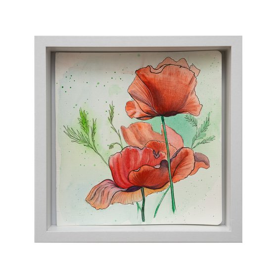 Red Poppies – Botanical