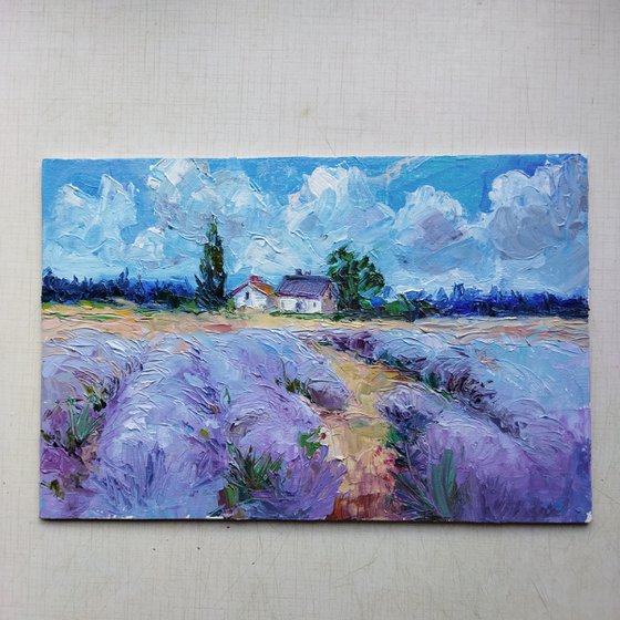 Scent of lavender field 20*30 cm