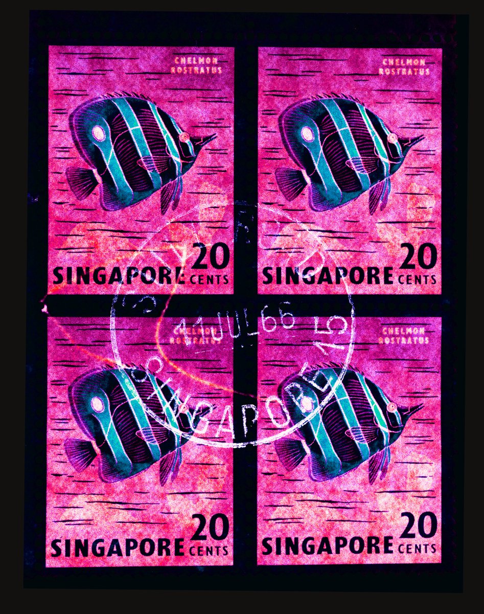 Singapore Stamp Collection ’20 Cents Singapore Butterfly Fish’ (Hot Pink) by Richard Heeps