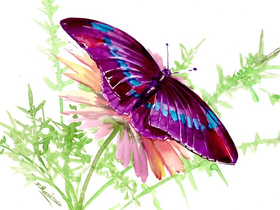 Butterfly