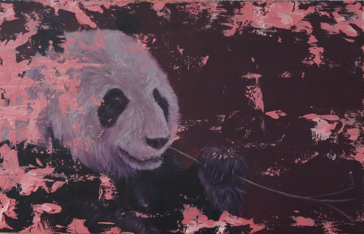 Purple panda by Tony Berriman